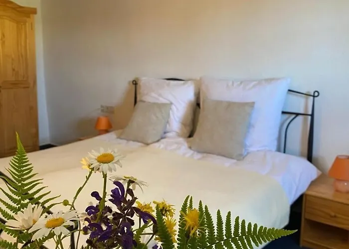 度假居 Auszeit Nr 2 Sierscheid